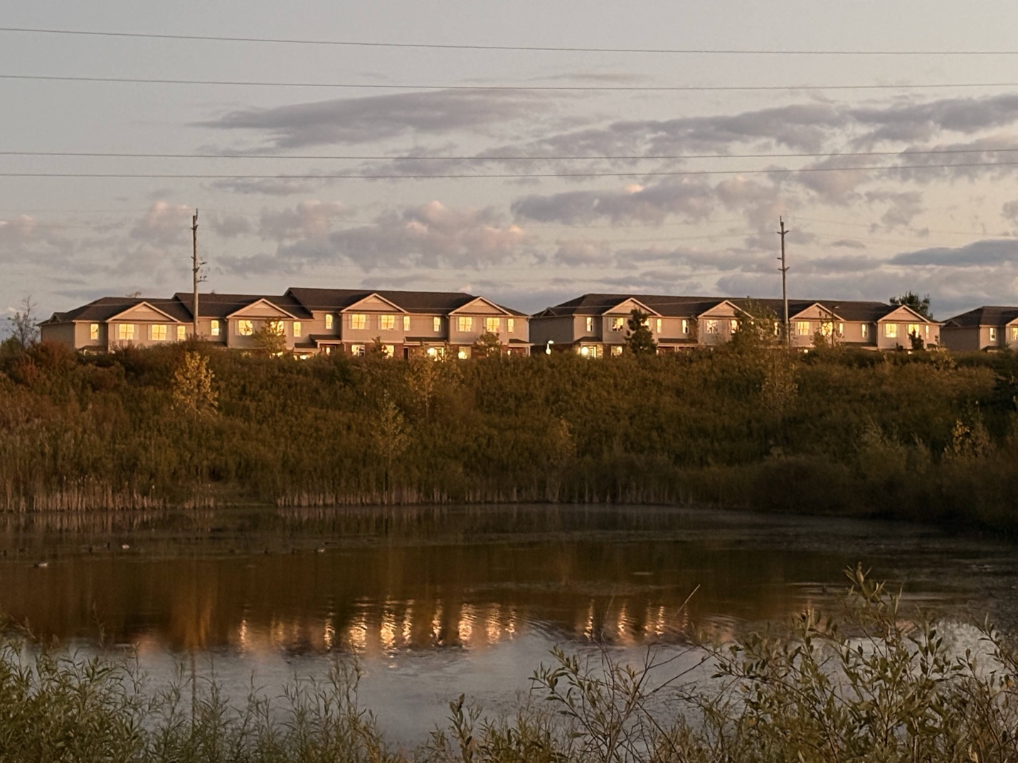 Townhouses across a pond at dusk in Waterloo, Ontario